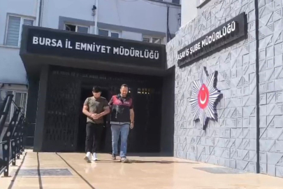 250 saatlik kamera kaydı izlediler, inşaat farelerini böyle çözdüler