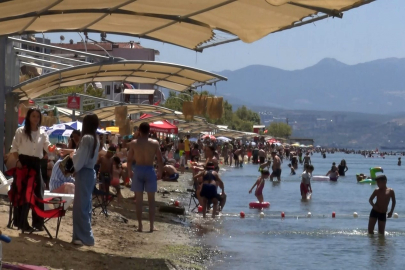 Deniz sezonunun bitmesine yakın Bursa'nın sahillerinden sevindiren haber