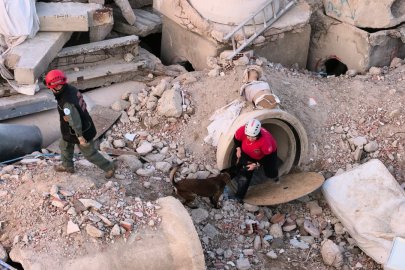 İnegöl'de K9'lara hayat kurtaran eğitim