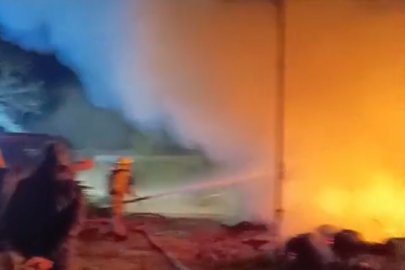 Karacabey'de çiftlik alevlere teslim oldu: Hayvanlar son anda kurtarıldı