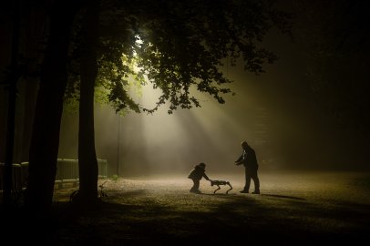 7120 fotoğraf arasından seçildi...Şehrin ışıklarının en güzel kareleri belli oldu