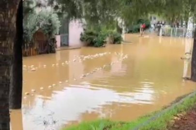 Bursa'da dere taştı, mahalleyi ve sebze halini sel suları bastı
