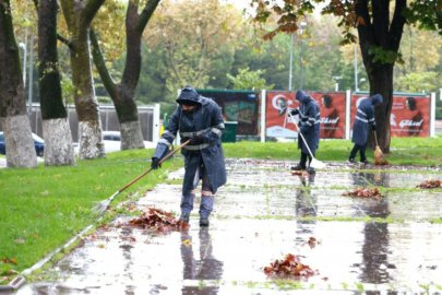 Osmangazi Belediyesi'nden sonbahar temizliği
