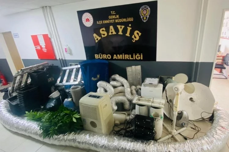 Bursa’da evini uyuşturucu serasına çeviren şüpheli gözaltına alındı