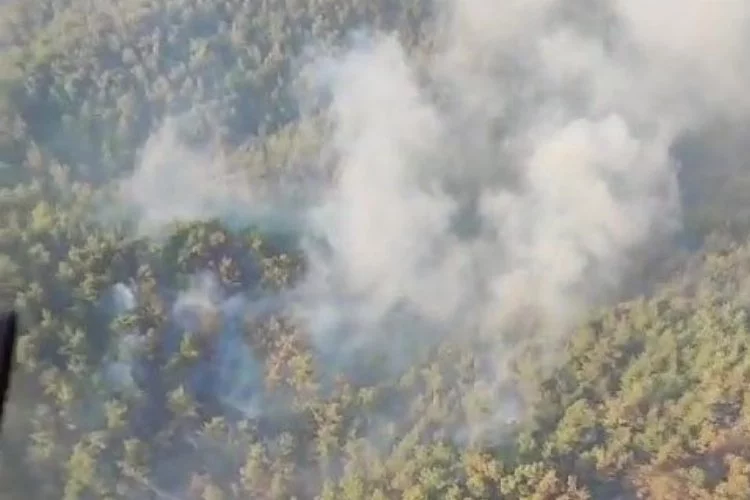 Çanakkale’deki orman yangını havadan görüntülendi