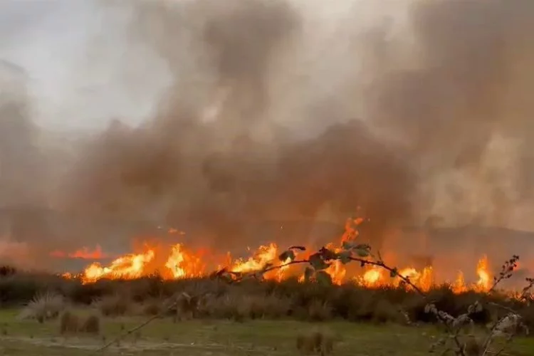 İznik Gölü'nde sazlık alanda korkutan yangın