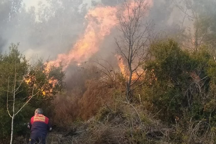 Kontrolden çıkan anız ateşi, ormanlık alana sıçradı