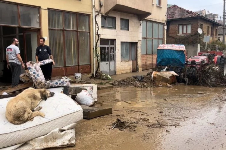 Sel felaketi sonrası Bursa Valisi bilançoyu açıkladı