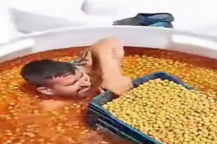 Sosyal medyada çıplak zeytin havuzuna girme videosu "Bu kadar da olmaz" dedirtti