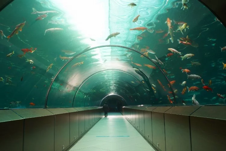 Yıldırım’daki tünel akvaryuma 2022’de 250 bin kişi ziyaret etti